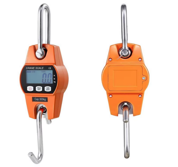 300kg Industrial Crane scale - Image 2