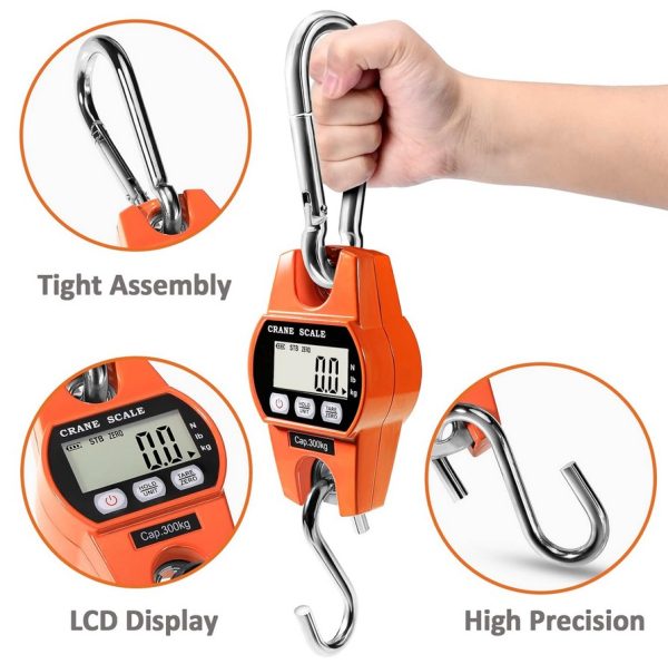 300kg Industrial Crane scale