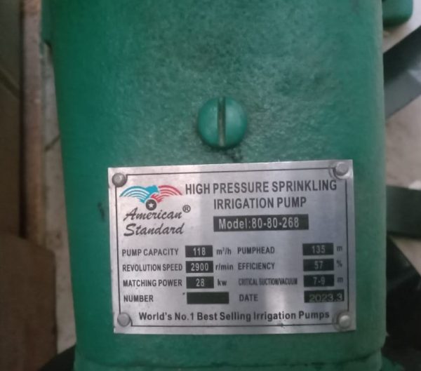135m 3” 118m³/hr American Standard Bare Pump - Image 2